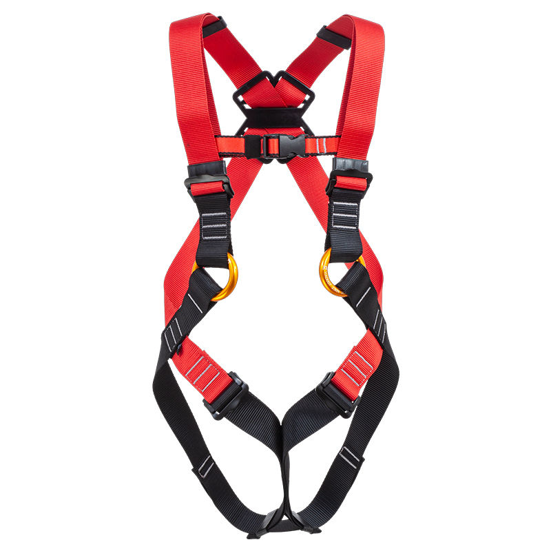 Seatbelt (small)