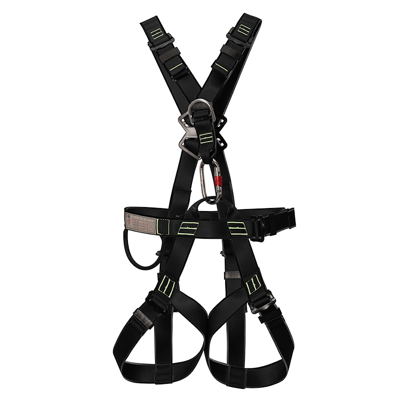 Seatbelt black
