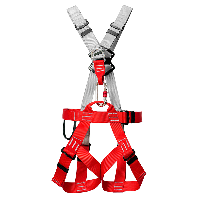 Seatbelt red and gray