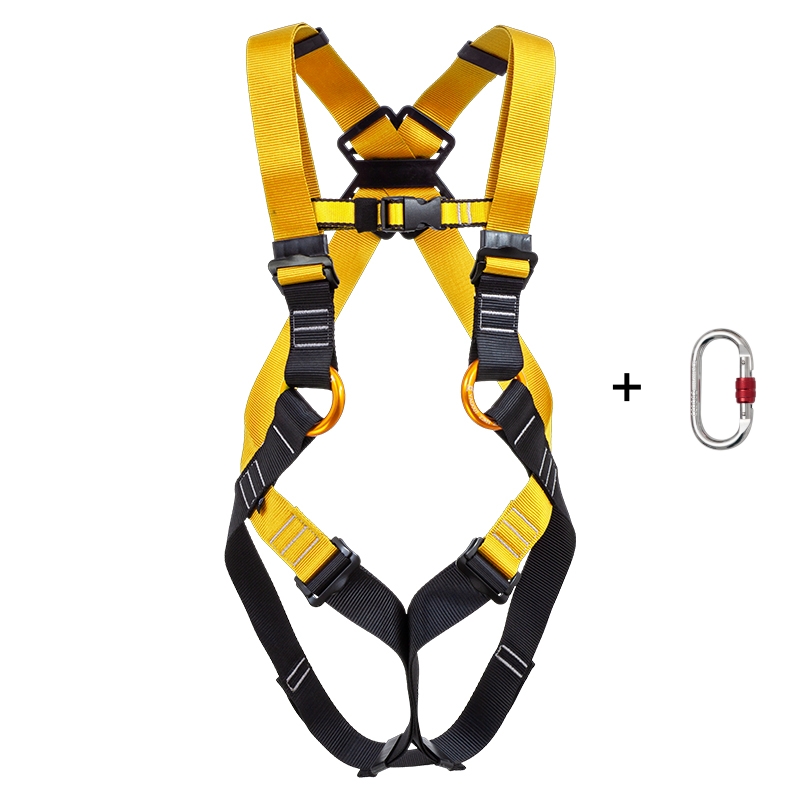 Seatbelt Yellow + Round