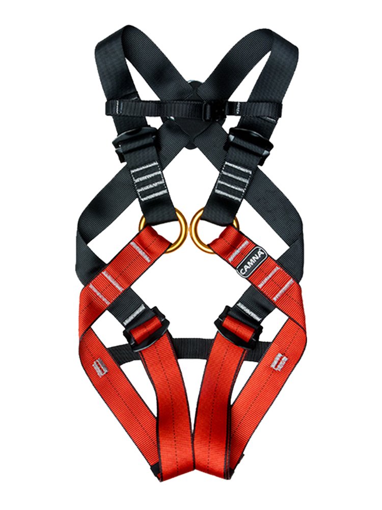 An outdoor extended adventure park where children climb and carry a five-point safety belt