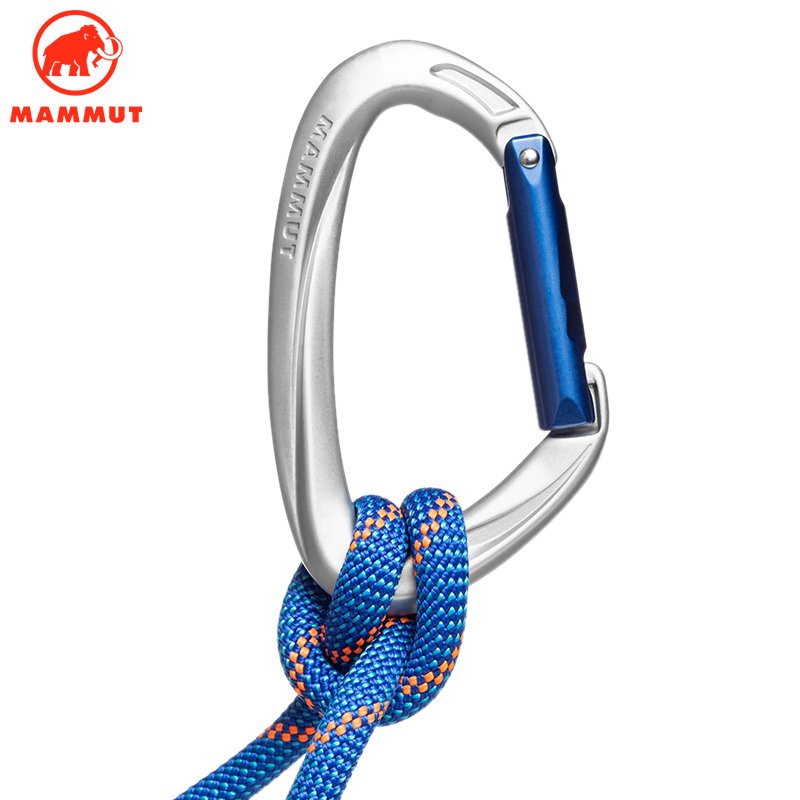 The mammoth elephant Mammut Craig Indicator Wire 10CM climbs up the ice and picks up the cash