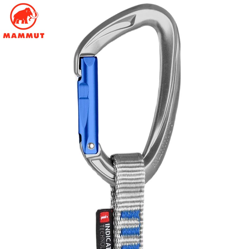 The mammoth elephant Mammut Craig Indicator Wire 10CM climbs up the ice and picks up the cash