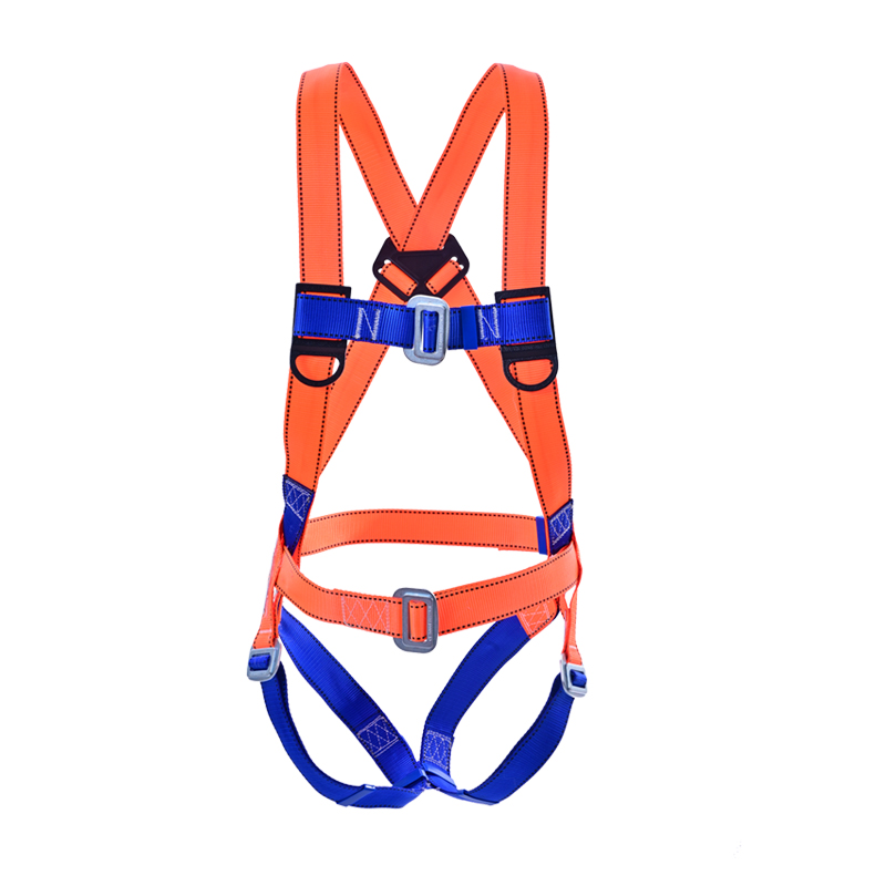 Euroback belt (without backline)