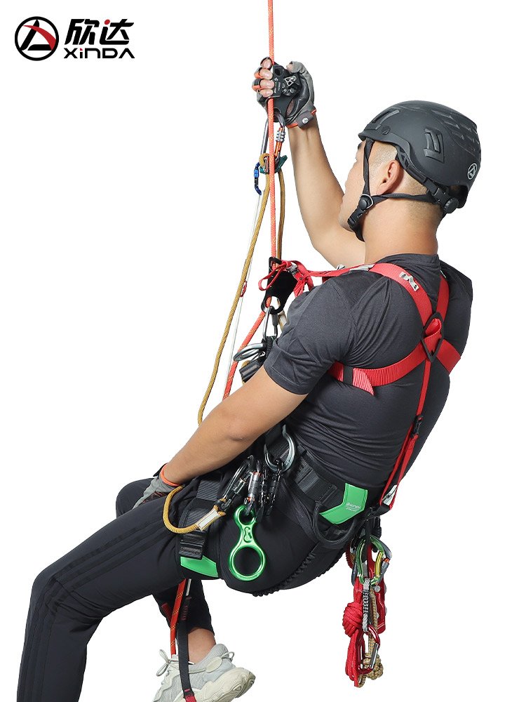 HINDAWA IS A HIGH-ALTITUDE CLIMBER, A HIGH-ALTITUDE REPTILE SRT
