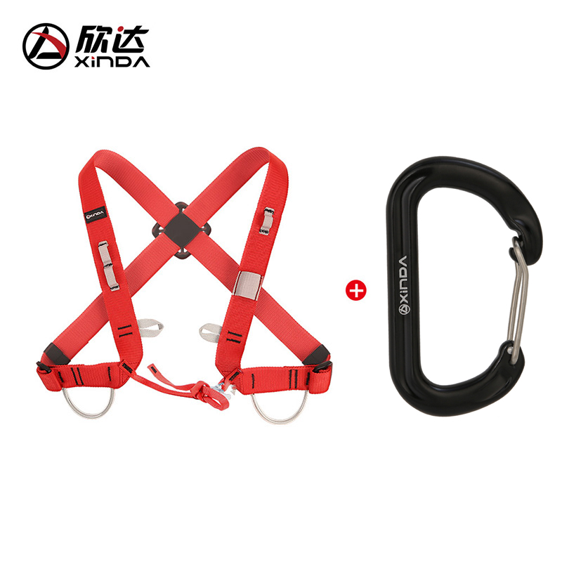 Red shoulderband