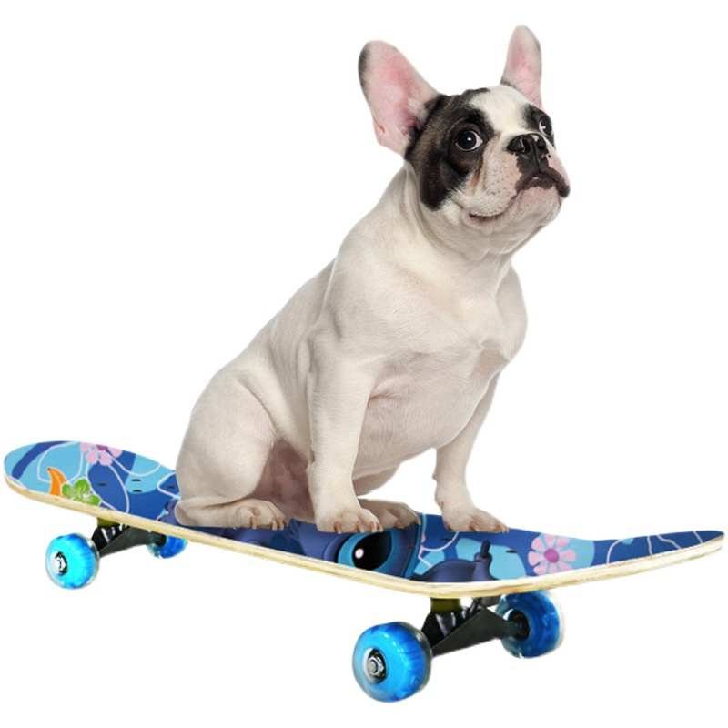 The pet skates doggy scooter Doo-Doo