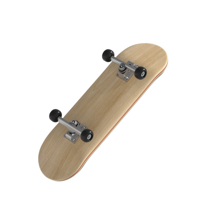 tortoise skateboard finger toe toe toe toe toe toe toe toe