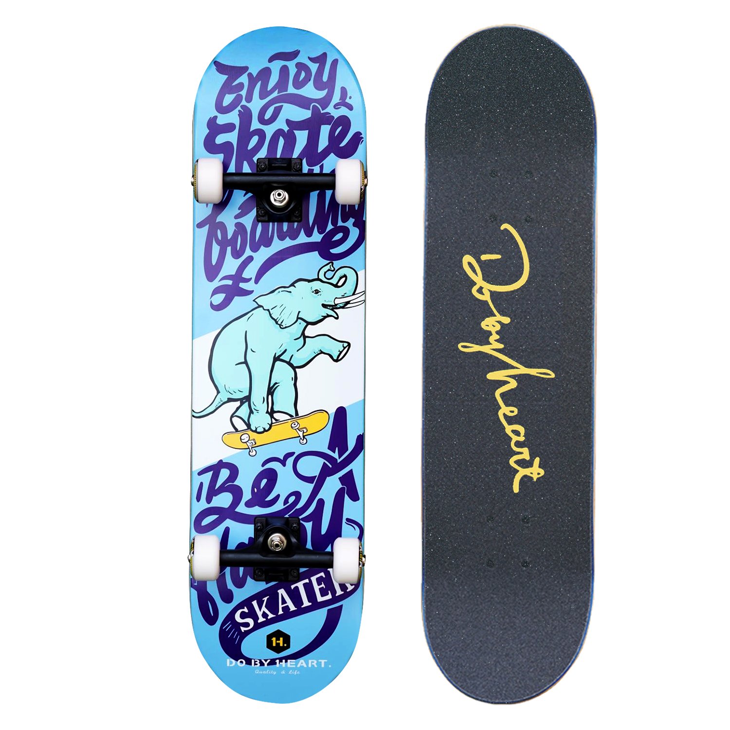 THE NEW DBH BOARD FOR MALE AND FEMALE BEGINNERS, CHILDREN AND ADOLESCENTS, DOUBLE-DIP FOUR-WHEELER
