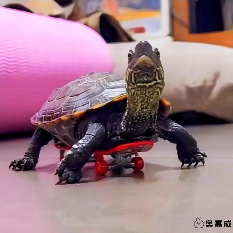 A tortoise skateboard tortoise