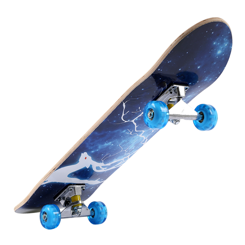 Four-wheelboard children's beginners, adult junior high school students, male and female net and long professional skateboards