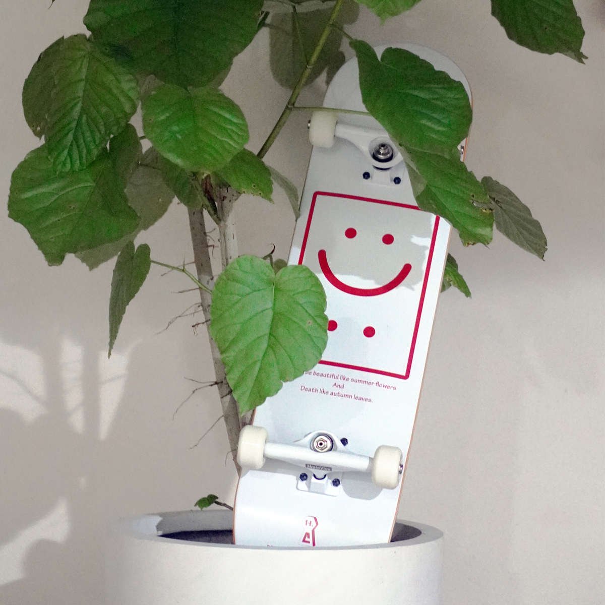 SPECIALIZED GROUP OF CONFLICT SKATEBOARD DBH BEGINNERS, ADOLESCENT ADULT GIRLS AND BOYS, ON DOUBLE-TRIPING STREET