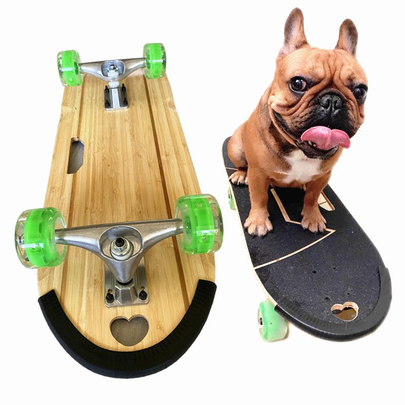 it's a new-in-the-mill dog