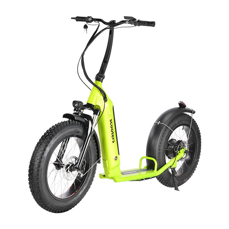 European Warehouse Stock EEC 500W Dual motors City big wheel Fat Tire kick E Motorcycle Electric Scooters