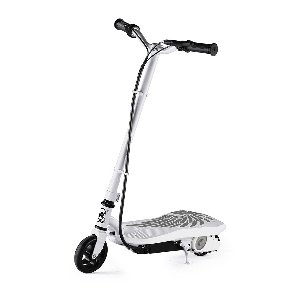 2 Wheels 100W Adult Electric Scooter