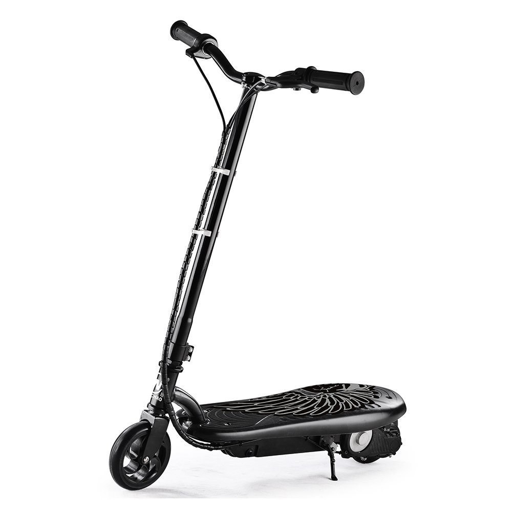 2 Wheels 100W Adult Electric Scooter