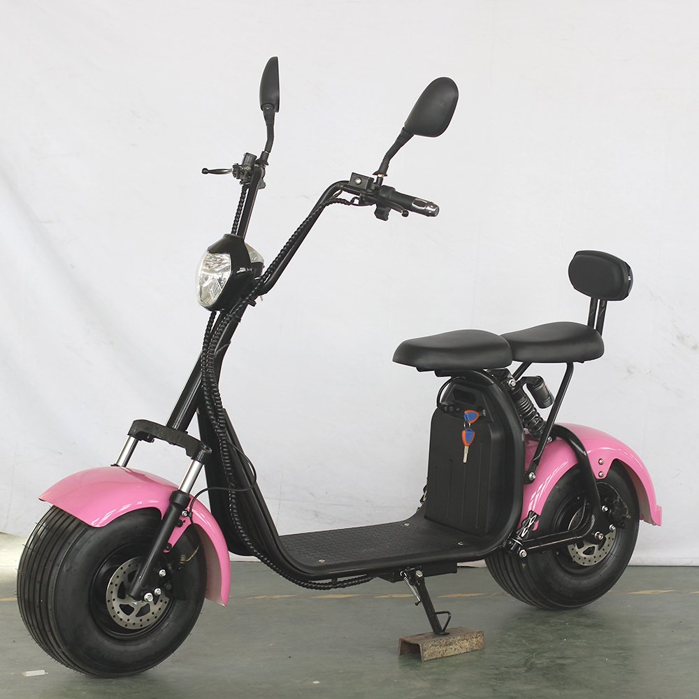 New Electric Motor Scooter 1000W Electrica Moto Citycoco