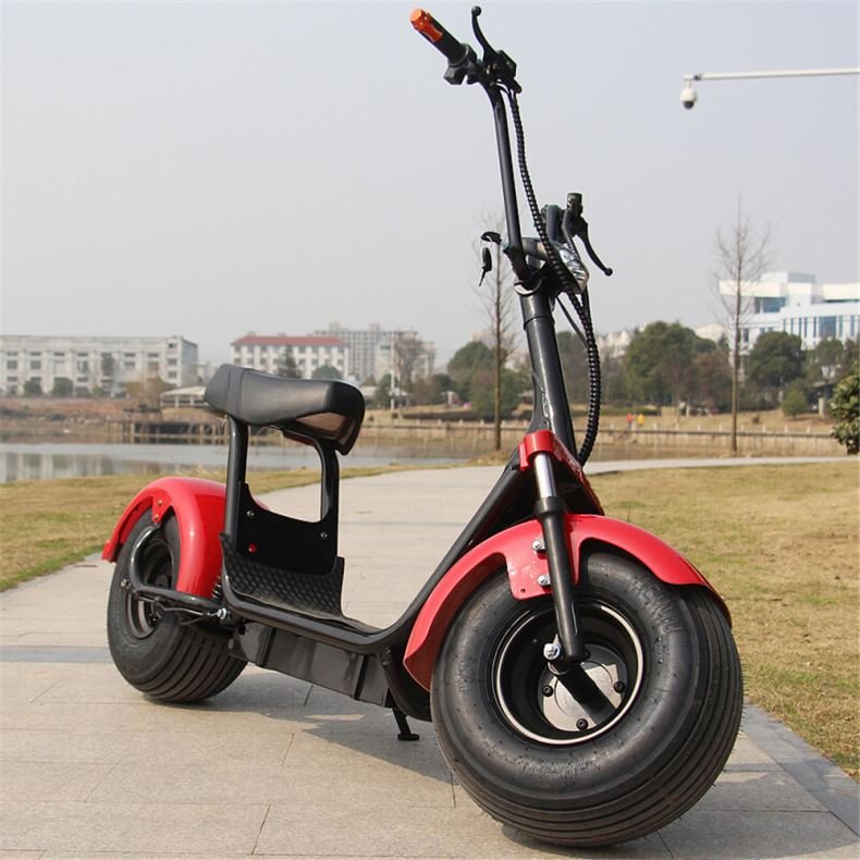 2020 Hot Sale 700W Electrical Citycoco Lithium Battery Brushless Balance Electric Scooter One Wheel For Entertainment