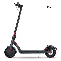 M1