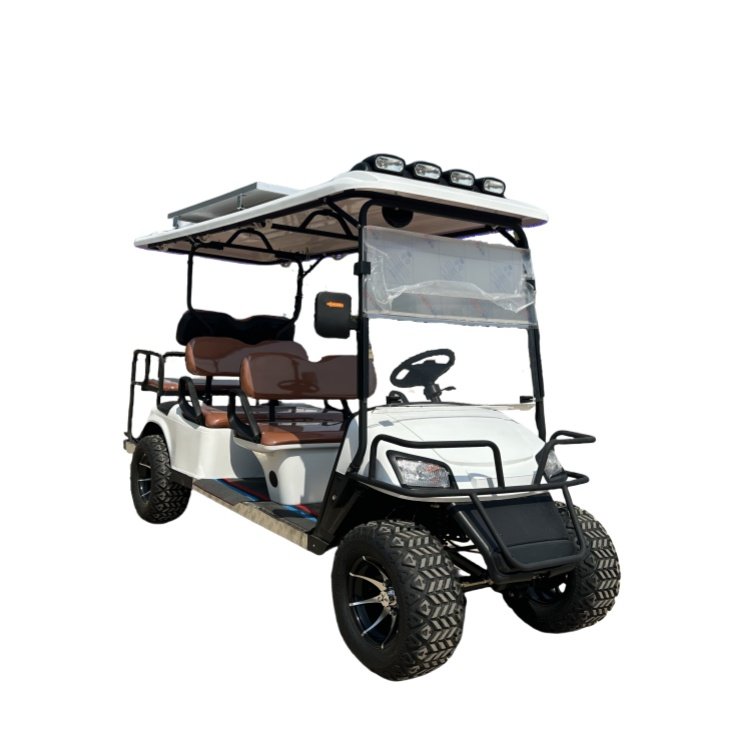 Factory Lithium Battery Golf Cart Adults Scooter 48V 60V Electric Golf Car
