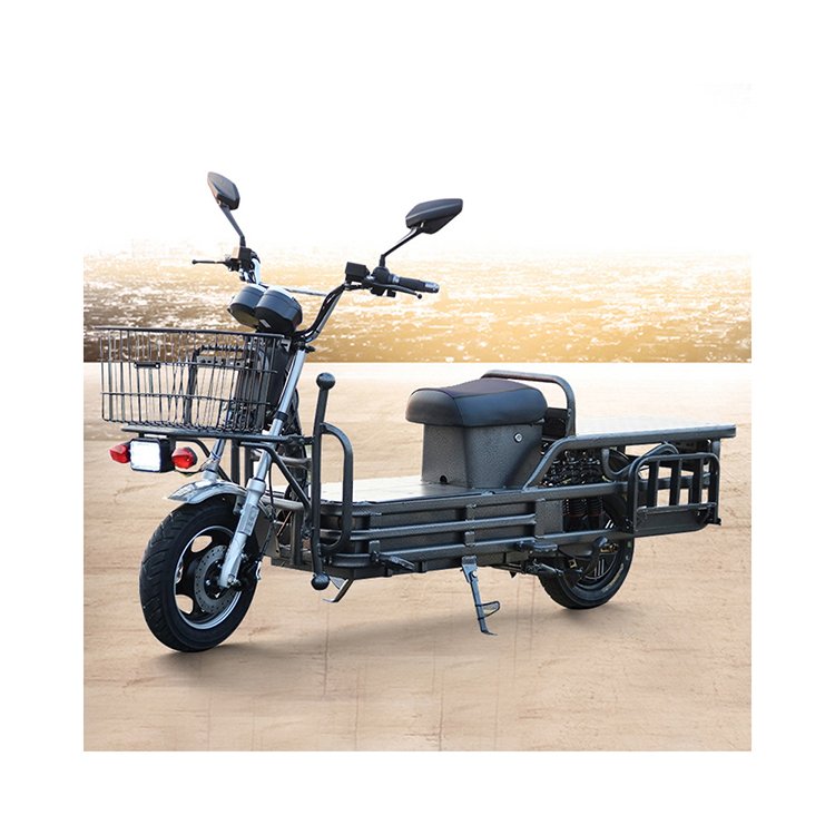 New Home Cargo Electric Bike Shelf Meal Delivery Electric Cargo Two Wheel Electric Cargo Bike