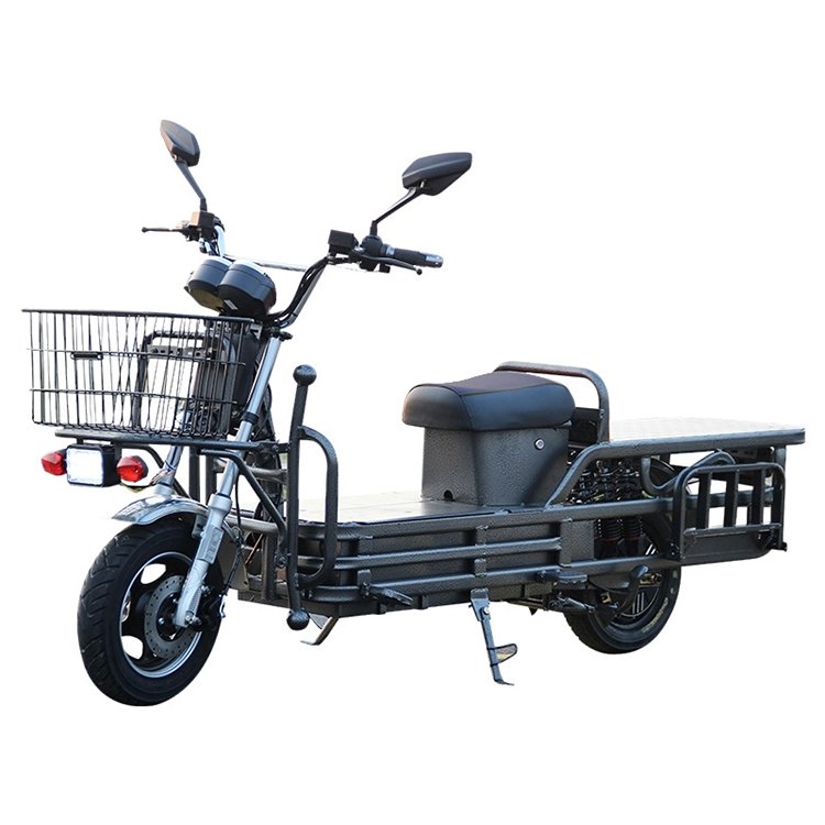 New Home Cargo Electric Bike Shelf Meal Delivery Electric Cargo Two Wheel Electric Cargo Bike