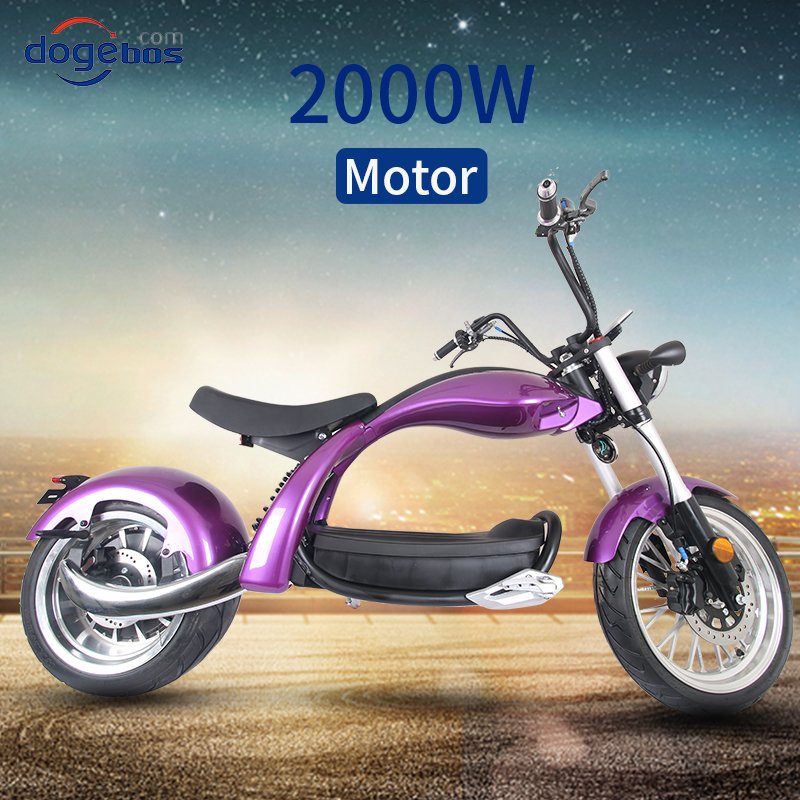 New 2 Wheel Fat Tire Popular Citycoco Electric Scooter 2000W for Adult