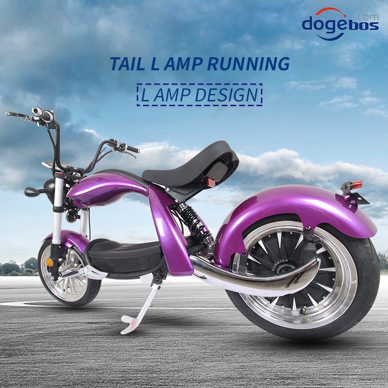 New 2 Wheel Fat Tire Popular Citycoco Electric Scooter 2000W for Adult