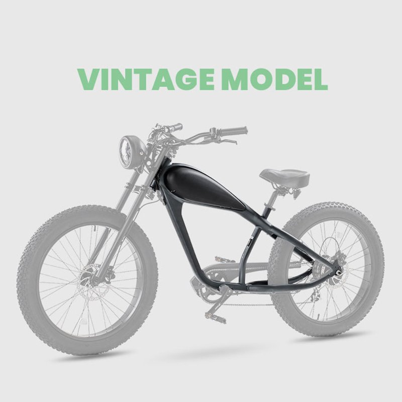 OEM 500w 750w 1000W 36v 48v 52v Fat Tire Hub Motor Lithium Battery Retro Chopper Fast Electric Vintage Bike Electric Bicycle