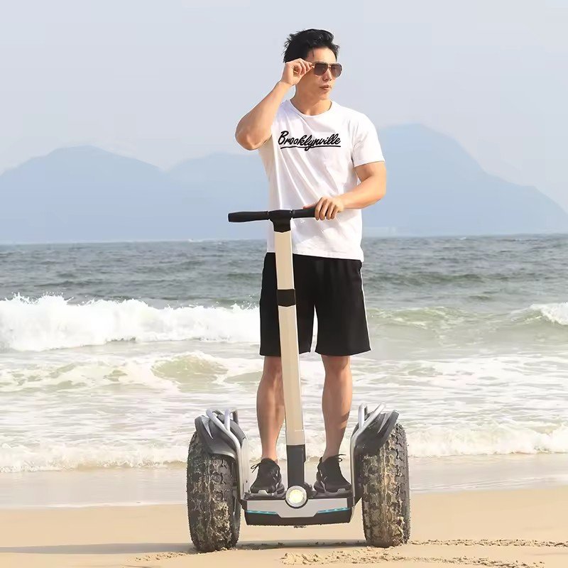 20Km/h 3000W Dual Motor Off Road 20 inch Fat Tire Two Wheels All Terrain Balance Car Self Balancing Electric Scooters For Adult