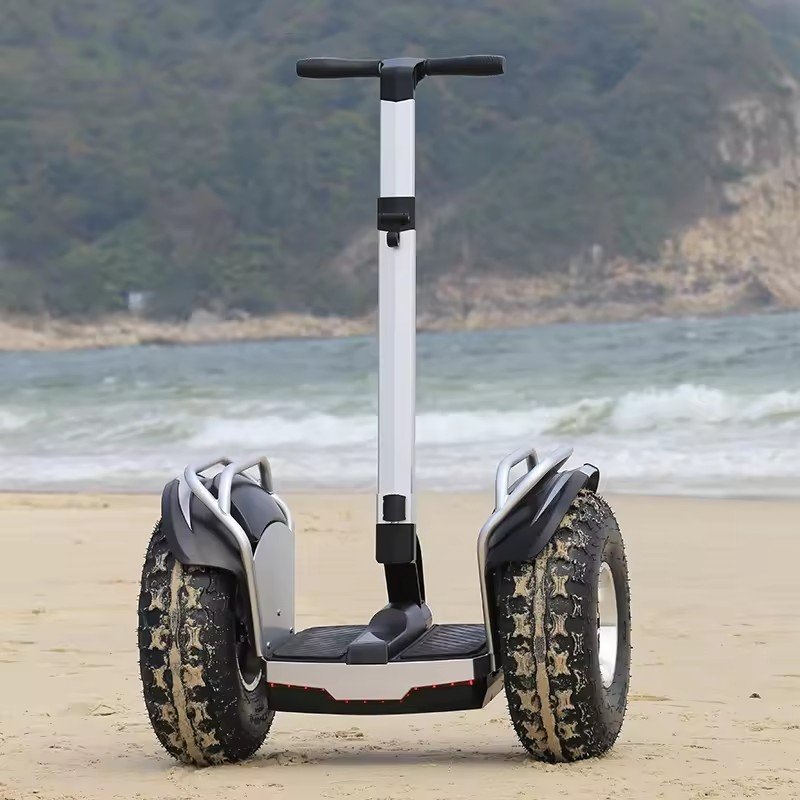 20Km/h 3000W Dual Motor Off Road 20 inch Fat Tire Two Wheels All Terrain Balance Car Self Balancing Electric Scooters For Adult