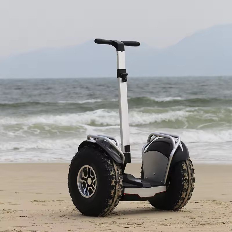 20Km/h 3000W Dual Motor Off Road 20 inch Fat Tire Two Wheels All Terrain Balance Car Self Balancing Electric Scooters For Adult