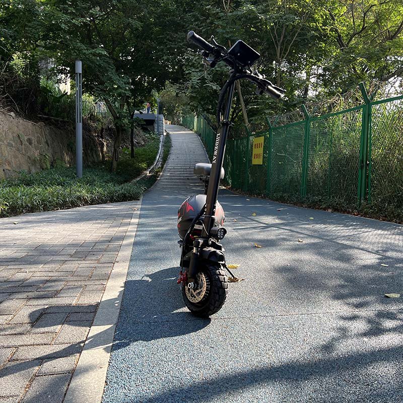 off road electric scooter1650W*2 Double motor Fat Tire electric scooter
