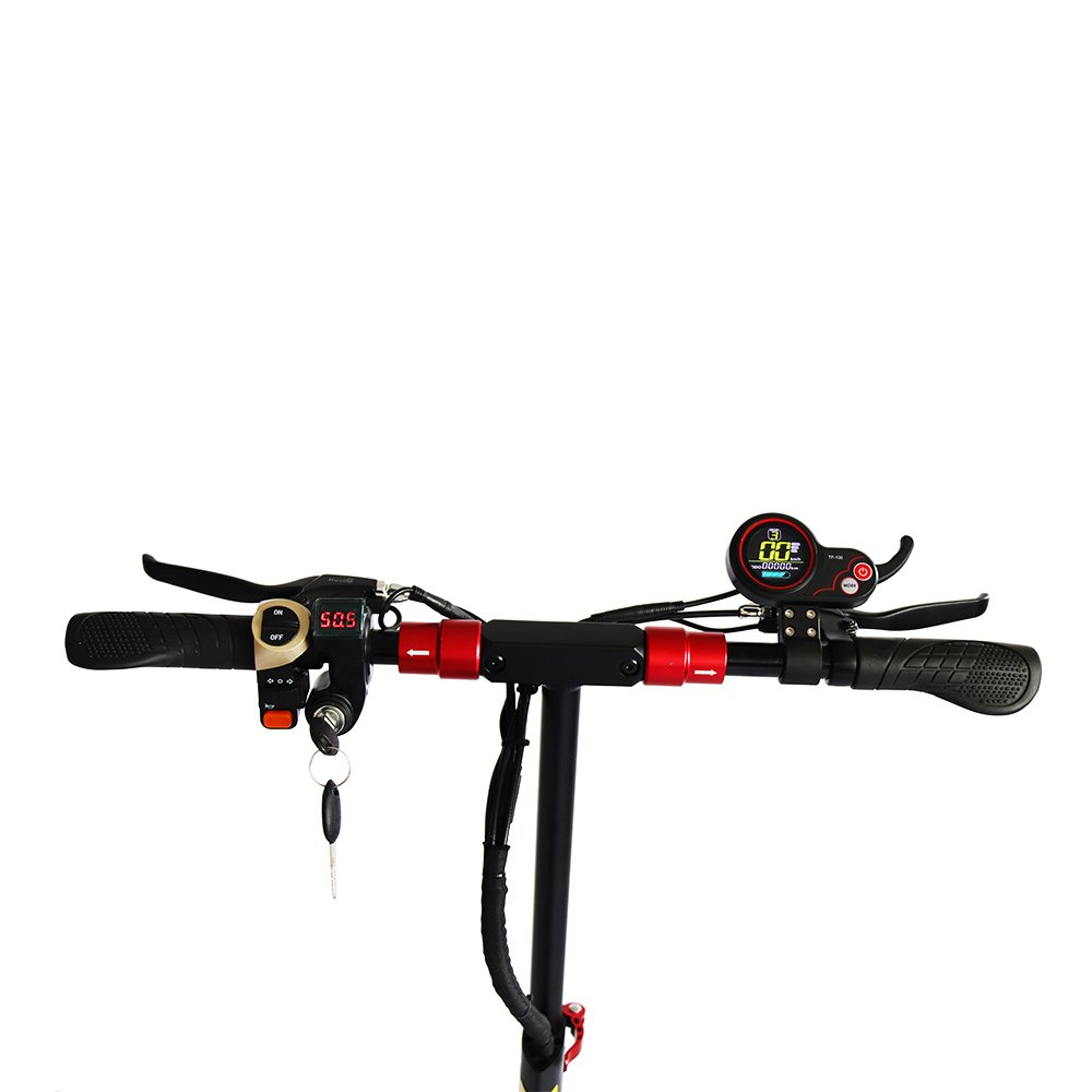 New 800w folding electric scooter shipped from China