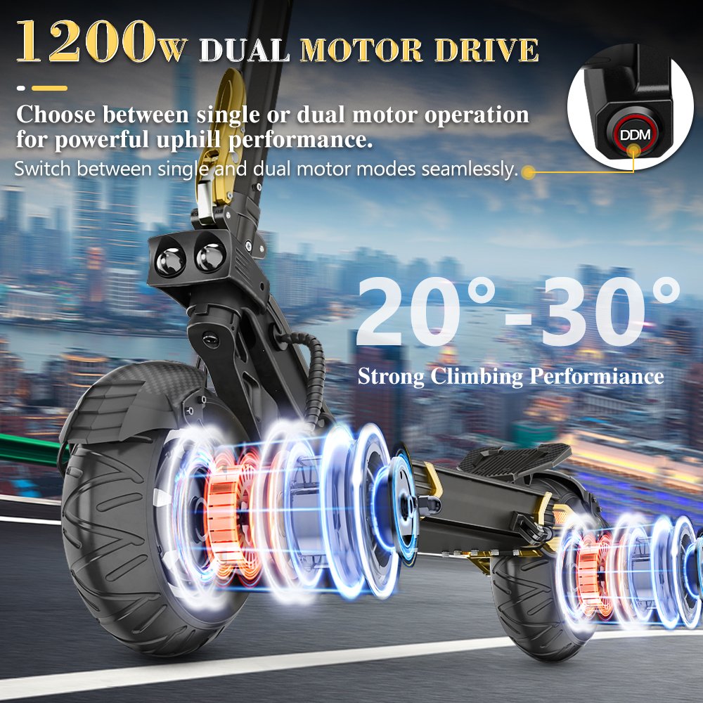 All Terrain iENYRID ES30 Electric Scooter with 52V/20AH 1200W*2 Battery 50-70KM Long Range Fat Tire 1200W*2 Battery