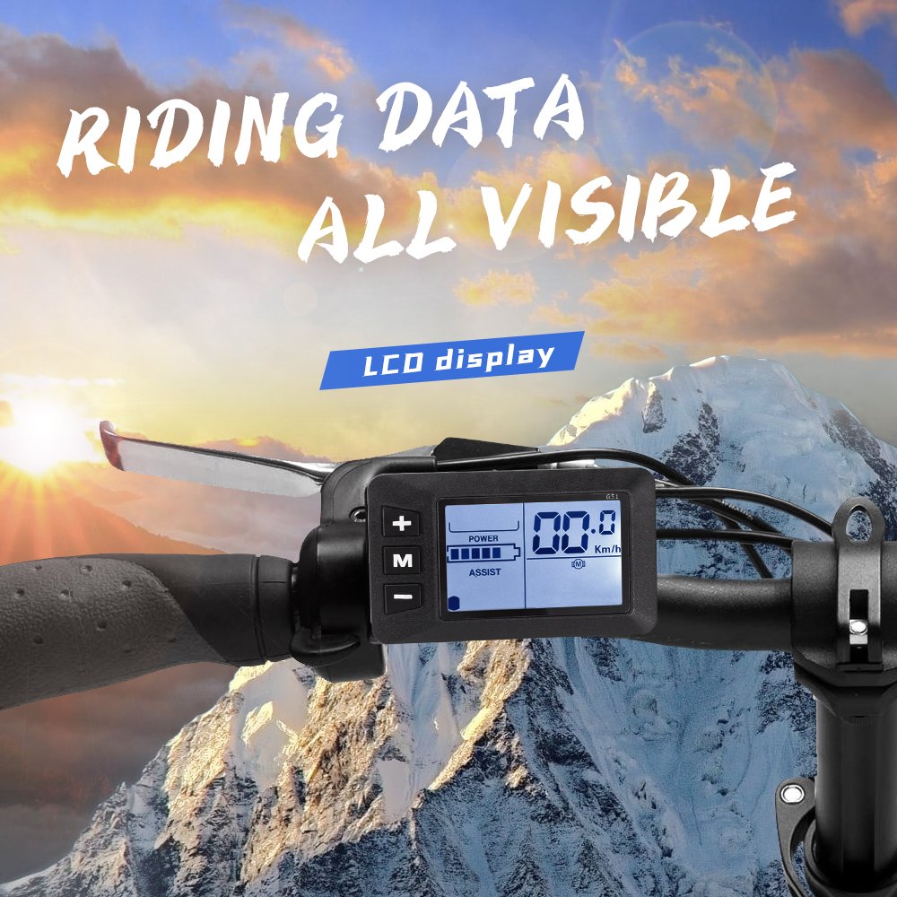 G51 24V 36V 48V 250W 350W 500W Waterproof Motor Brushless Controller ELectric Scooter LCD Display