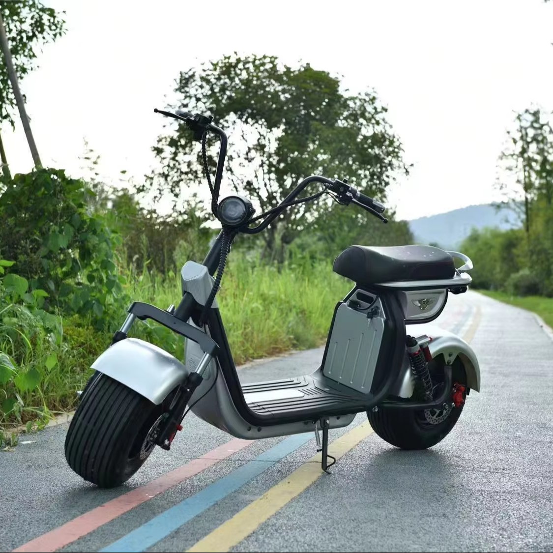 high speed 1000W multiple color options electric scooter