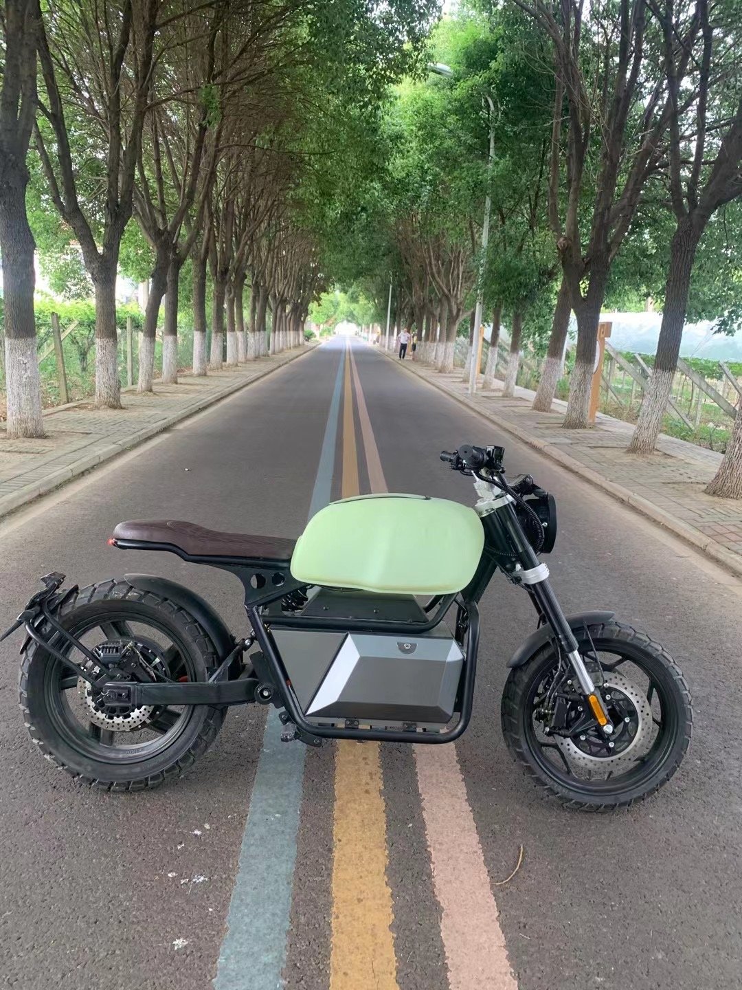 Retro electric motorcycles high speed 3000w 5000w electric scooters