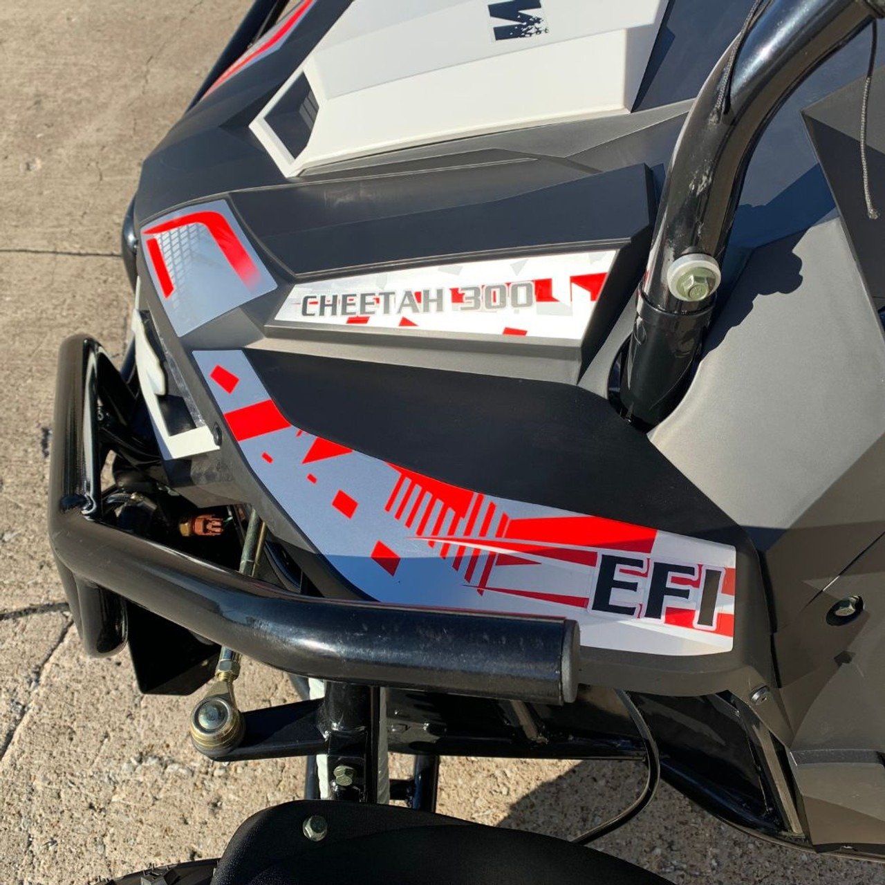 TrailMaster Cheetah 300E Go-Kart (EFI) Going Very Nice Pries