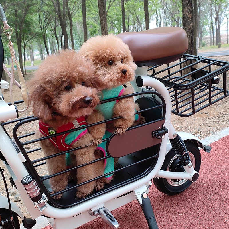 Mini 2 Wheel Ebike Electric Bike To Drive Dog Around dog electric scooter