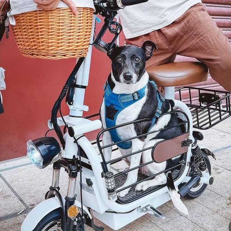 Mini 2 Wheel Ebike Electric Bike To Drive Dog Around dog electric scooter