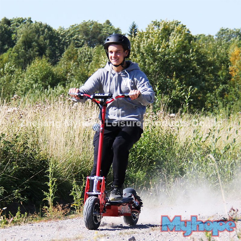 1600W48V Electric Bike Halley Electric Scooter YXEB-716