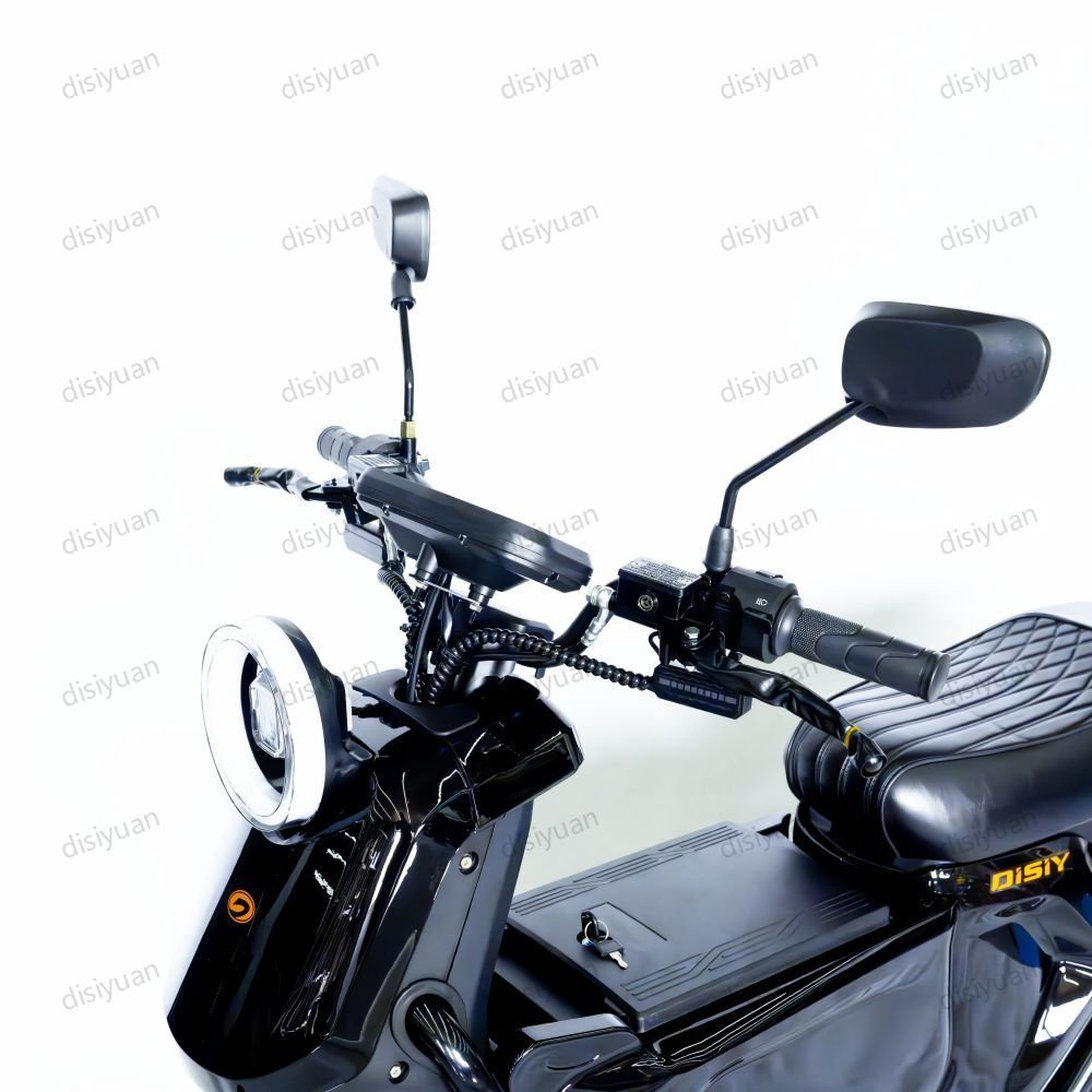 Factory Supply Sharing Electric Scooter 1000W 1500W Brushless Citycoco Adult Electric Motorcycle Scooter For Rent Business DSY
