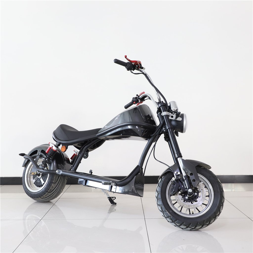 EEC whole City Sport Power 2000 W 3000 w 20 AH 30 Ah Electric Bike Electric Scooter with big power big battery