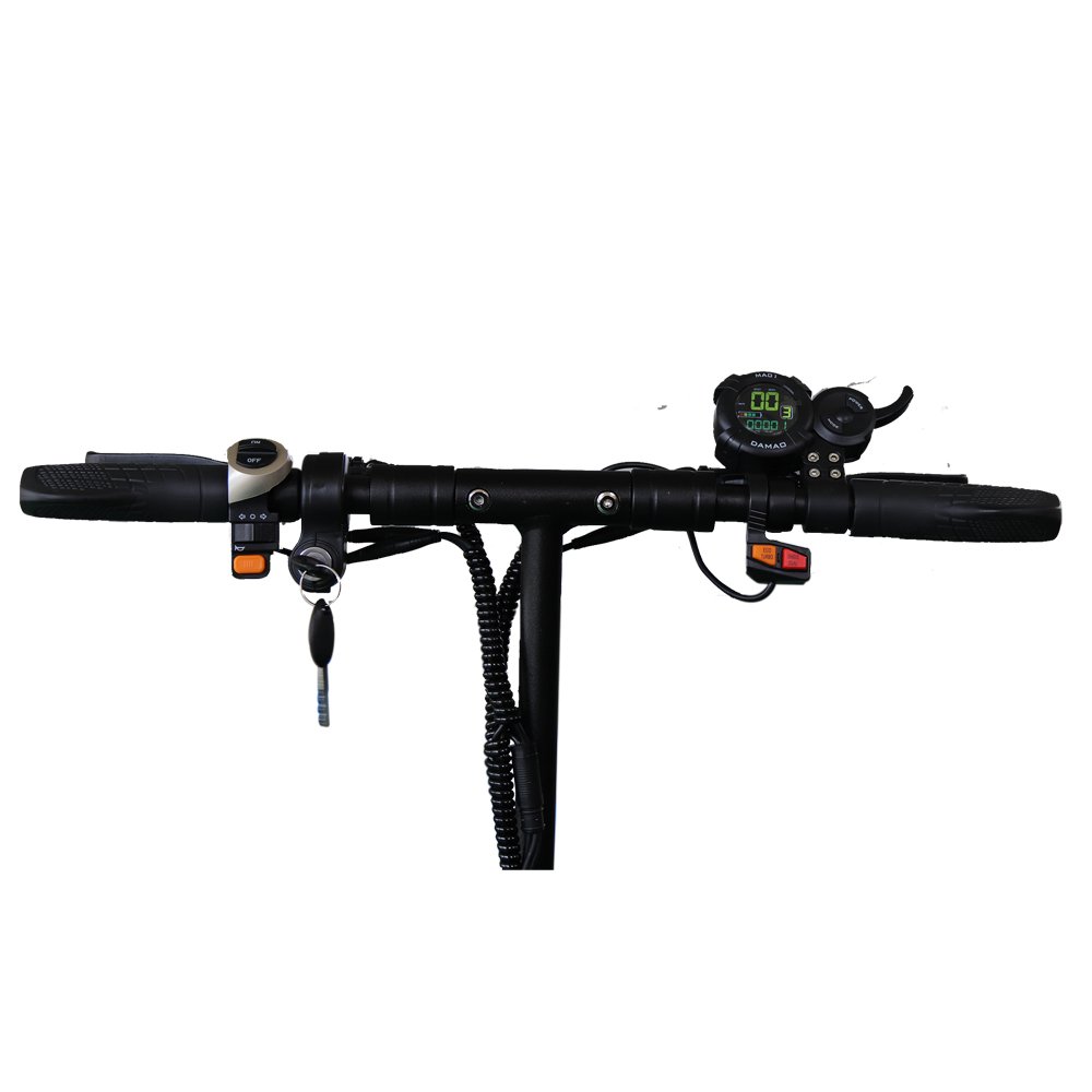 Double disc brake and double motor electric scooter
