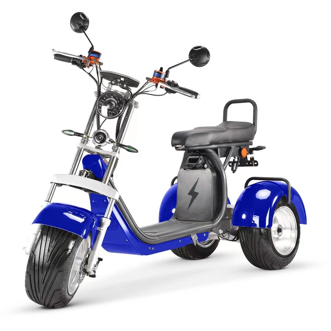 1000w 2000w 60v12ah/20ah big seat removable battery citycoco fat tire 3 wheel electric bike scooters