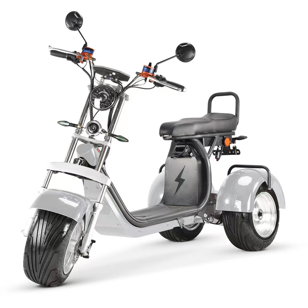 1000w 2000w 60v12ah/20ah big seat removable battery citycoco fat tire 3 wheel electric bike scooters