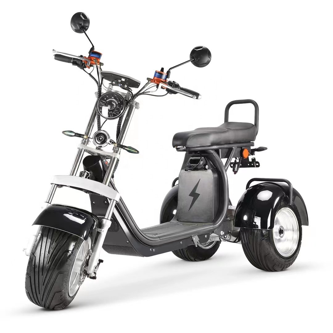 1000w 2000w 60v12ah/20ah big seat removable battery citycoco fat tire 3 wheel electric bike scooters