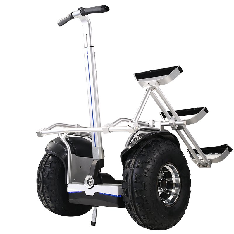 Factory Direct Sell 2400W APP GPS 19 Inch Electric Scooter Balance Removable Battery Segways 2 Wheel Golf Cart