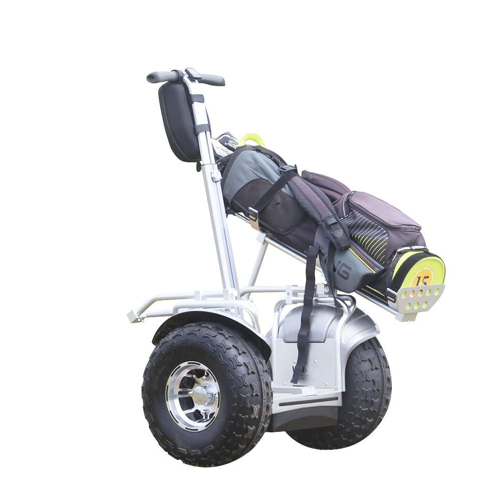 Factory Direct Sell 2400W APP GPS 19 Inch Electric Scooter Balance Removable Battery Segways 2 Wheel Golf Cart